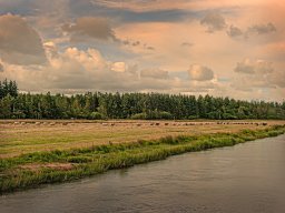 IMGP6099-1_Faarevandringen